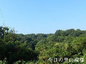2024-09・17　今日の里山模様 (2).JPG