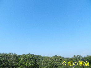 2024-09・17　今朝の郷空 (2).JPG