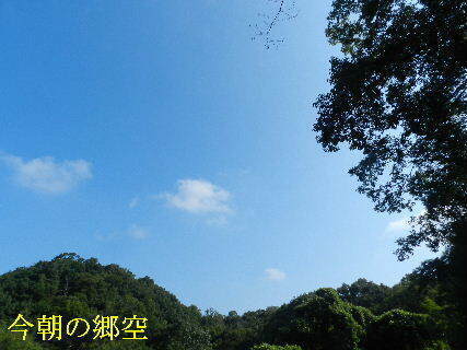 2024-09・17　今朝の郷空 (3).JPG