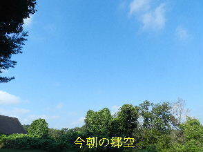 2024-09・17　今朝の郷空 (5).JPG