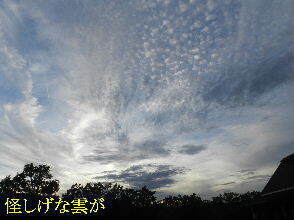 2024-09・19　長月の郷空模様 (1).JPG