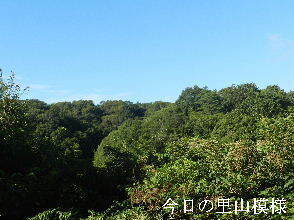 2024-09・20　今日の里山模様 (2).JPG