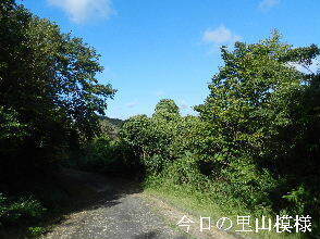 2024-09・20　今日の里山模様 (4).JPG