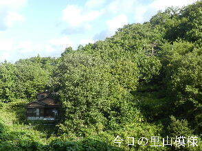 2024-09・20　今日の里山模様 (6).JPG