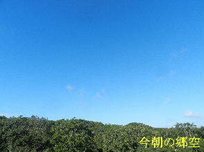 2024-09・20　今朝の郷空 (2).JPG