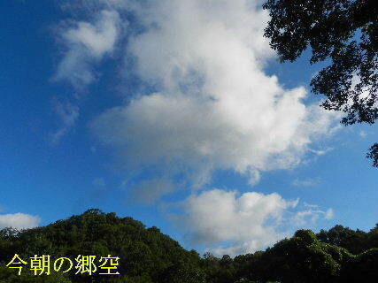 2024-09・20　今朝の郷空 (3).JPG