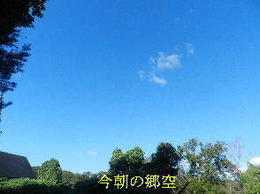 2024-09・23　今日の朝空模様 (5).JPG