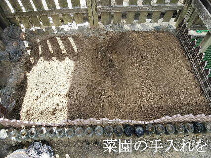 2024-09・23　今日の菜園作業を (2).jpg