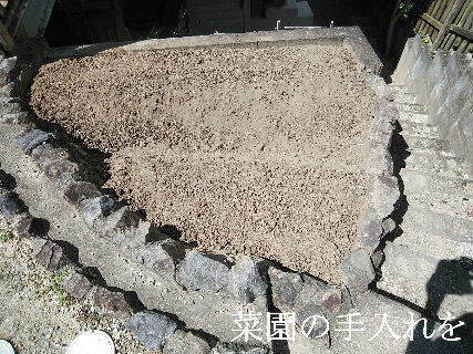 2024-09・23　今日の菜園作業を (3).jpg