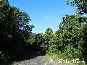2024-09・23　今日の里山模様 (5).JPG