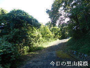 2024-09・23　今日の里山模様 (6).JPG