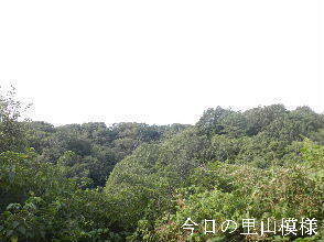 2024-09・24　今日の里山模様 (2).JPG