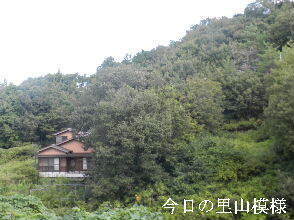 2024-09・24　今日の里山模様 (6).JPG