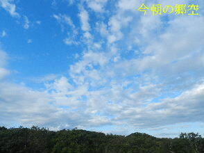 2024-09・24　長月の郷空模様 (4).JPG