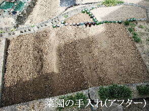 2024-09・25　今日の菜園作業を (4).jpg