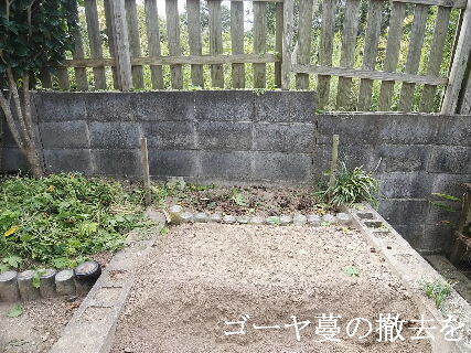2024-09・25　今日の菜園作業を (5).jpg