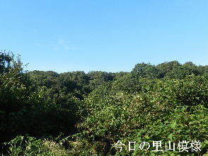 2024-09・25　今日の里山模様 (2).JPG