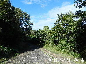 2024-09・25　今日の里山模様 (4).JPG