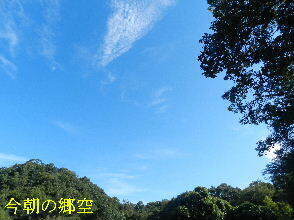 2024-09・25　長月の郷空模様 (5).JPG